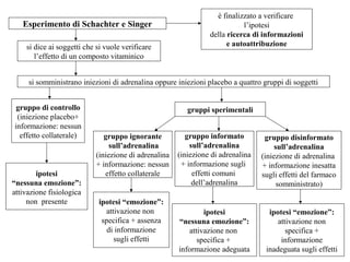 Esperimento di Schachter e Singer
si dice ai soggetti che si vuole verificare
l’effetto di un composto vitaminico

è finalizzato a verificare
l’ipotesi
della ricerca di informazioni
e autoattribuzione

si somministrano iniezioni di adrenalina oppure iniezioni placebo a quattro gruppi di soggetti
gruppo di controllo
(iniezione placebo+
informazione: nessun
effetto collaterale)

ipotesi
“nessuna emozione”:
attivazione fisiologica
non presente

gruppi sperimentali
gruppo ignorante
sull’adrenalina
(iniezione di adrenalina
+ informazione: nessun
effetto collaterale

ipotesi “emozione”:
attivazione non
specifica + assenza
di informazione
sugli effetti

gruppo informato
sull’adrenalina
(iniezione di adrenalina
+ informazione sugli
effetti comuni
dell’adrenalina

gruppo disinformato
sull’adrenalina
(iniezione di adrenalina
+ informazione inesatta
sugli effetti del farmaco
somministrato)

ipotesi
“nessuna emozione”:
attivazione non
specifica +
informazione adeguata

ipotesi “emozione”:
attivazione non
specifica +
informazione
inadeguata sugli effetti

 