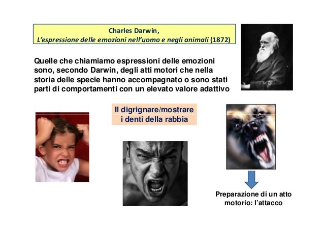 L Espressione Delle Emozioni Nell Uomo E Negli Animali Emozioni steca 1
