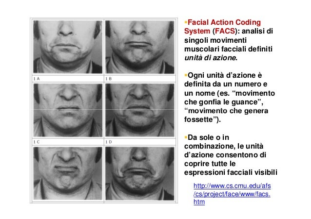 Emozioni steca 1
