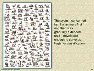 The system concerned
familiar animals first
and then was
gradually extended
until it developed
enough to serve as
basis for classification.
12Institute of Earth Systems
 