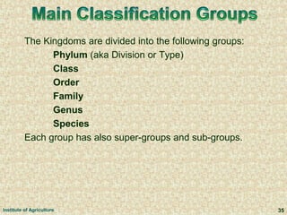 The Kingdoms are divided into the following groups:
Phylum (aka Division or Type)
Class
Order
Family
Genus
Species
Each group has also super-groups and sub-groups.
35Institute of Agriculture
 