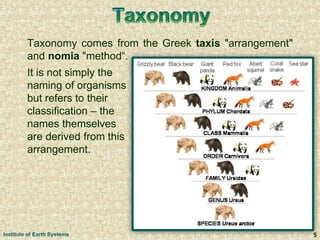 Taxonomy comes from the Greek taxis "arrangement"
and nomia "method“.
5
It is not simply the
naming of organisms
but refers to their
classification – the
names themselves
are derived from this
arrangement.
Institute of Earth Systems
 