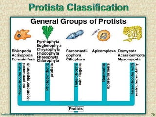 Institute of Earth Systems 79
 