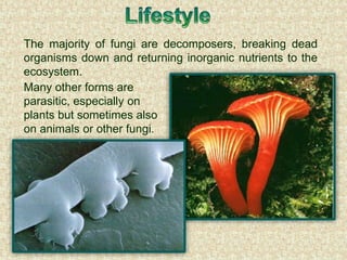 The majority of fungi are decomposers, breaking dead
organisms down and returning inorganic nutrients to the
ecosystem.
Many other forms are
parasitic, especially on
plants but sometimes also
on animals or other fungi.
 