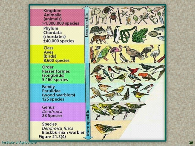 Emp1003 biodiversity and classification