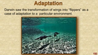 100
Darwin saw the transformation of wings into “flippers” as a
case of adaptation to a particular environment.
 