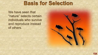 104
We have seen that
“nature” selects certain
individuals who survive
and reproduce instead
of others.
 