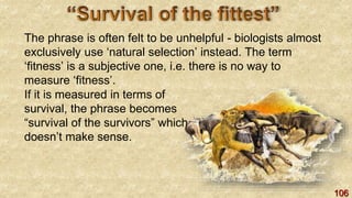 106
The phrase is often felt to be unhelpful - biologists almost
exclusively use ‘natural selection’ instead. The term
‘fitness’ is a subjective one, i.e. there is no way to
measure ‘fitness’.
If it is measured in terms of
survival, the phrase becomes
“survival of the survivors” which
doesn’t make sense.
 