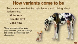 109
Today we know that the main factors which bring about
variants are:
• Mutations
• Genetic Drift
• Gene flow
There are some other ways
(e.g. so-called gene hitchhiking)
that will be discussed as part
of genetics.
 