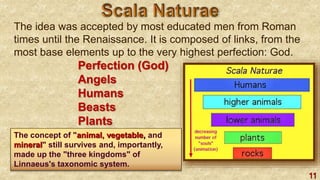 11
The idea was accepted by most educated men from Roman
times until the Renaissance. It is composed of links, from the
most base elements up to the very highest perfection: God.
Perfection (God)
Angels
Humans
Beasts
Plants
RocksThe concept of "animal, vegetable, and
mineral" still survives and, importantly,
made up the "three kingdoms" of
Linnaeus's taxonomic system.
 