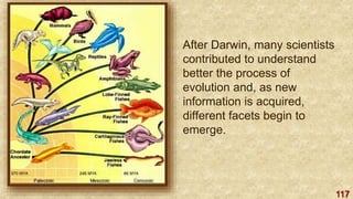 117
After Darwin, many scientists
contributed to understand
better the process of
evolution and, as new
information is acquired,
different facets begin to
emerge.
 