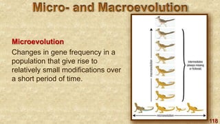 118
Microevolution
Changes in gene frequency in a
population that give rise to
relatively small modifications over
a short period of time.
 