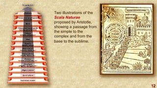 12
Two illustrations of the
Scala Naturae
proposed by Aristotle,
showing a passage from
the simple to the
complex and from the
base to the sublime.
 