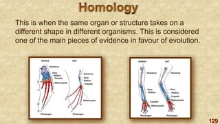 129
This is when the same organ or structure takes on a
different shape in different organisms. This is considered
one of the main pieces of evidence in favour of evolution.
 