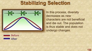 132
In this process, diversity
decreases as new
characters are not beneficial
and die out. The population
is thus stable and does not
undergo changes.
 