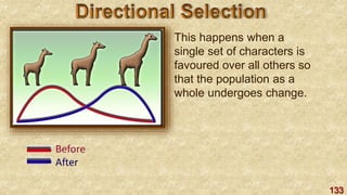 133
This happens when a
single set of characters is
favoured over all others so
that the population as a
whole undergoes change.
 