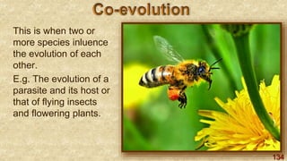 134
This is when two or
more species inluence
the evolution of each
other.
E.g. The evolution of a
parasite and its host or
that of flying insects
and flowering plants.
 