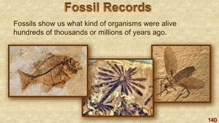 140
Fossils show us what kind of organisms were alive
hundreds of thousands or millions of years ago.
 