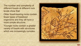 141
The number and complexity of
different fossils at different rock
levels show that:
Older fossil-bearing rocks contain
fewer types of fossilized
organisms and they all have a
more simple structure.
Younger rocks contain a greater
variety of fossils with structures
which are increasingly complex.
 