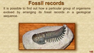 148
It is possible to find out how a particular group of organisms
evolved by arranging its fossil records in a geological
sequence.
 