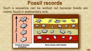 149
Such a sequence can be worked out because fossils are
mainly found in sedimentary rock.
 