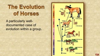154
A particularly well-
documented case of
evolution within a group.
 