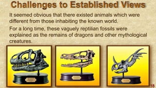 18
It seemed obvious that there existed animals which were
different from those inhabiting the known world.
For a long time, these vaguely reptilian fossils were
explained as the remains of dragons and other mythological
creatures.
 