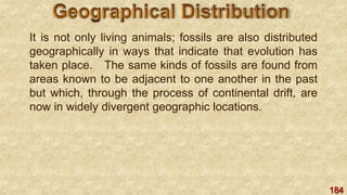 184
It is not only living animals; fossils are also distributed
geographically in ways that indicate that evolution has
taken place. The same kinds of fossils are found from
areas known to be adjacent to one another in the past
but which, through the process of continental drift, are
now in widely divergent geographic locations.
 