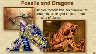 19
Dinosaur fossils had been known for
centuries as "dragon bones" or the
remains of giants.
 