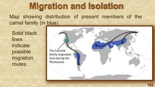 193
Map showing distribution of present members of the
camel family (in blue)
Solid black
lines
indicate
possible
migration
routes
 