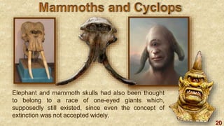 20
Elephant and mammoth skulls had also been thought
to belong to a race of one-eyed giants which,
supposedly still existed, since even the concept of
extinction was not accepted widely.
 