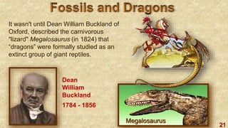 21
It wasn't until Dean William Buckland of
Oxford, described the carnivorous
"lizard" Megalosaurus (in 1824) that
“dragons” were formally studied as an
extinct group of giant reptiles.
Megalosaurus
Dean
William
Buckland
1784 - 1856
 