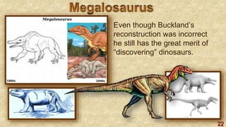 22
Even though Buckland’s
reconstruction was incorrect
he still has the great merit of
“discovering” dinosaurs.
 