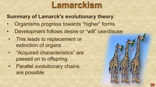 36
Summary of Lamarck's evolutionary theory:
• Organisms progress towards “higher” forms
• Development follows desire or “will” use/disuse
• This leads to replacement or
extinction of organs
• “Acquired characteristics” are
passed on to offspring.
• Parallel evolutionary chains
are possible
 