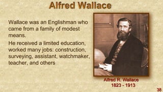 38
Wallace was an Englishman who
came from a family of modest
means.
He received a limited education,
worked many jobs: construction,
surveying, assistant, watchmaker,
teacher, and others
Alfred R. Wallace
1823 - 1913
 