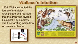 41
1854: Wallace studied the
fauna of the Malay
Archipelago and realised
that the area was divided
biologically by a narrow
strait, separating Asian from
Australasian fauna.
 