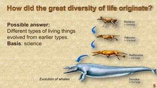 5
Possible answer:
Different types of living things
evolved from earlier types.
Basis: science
Evolution of whales
 