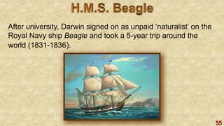 55
After university, Darwin signed on as unpaid ‘naturalist’ on the
Royal Navy ship Beagle and took a 5-year trip around the
world (1831-1836).
 