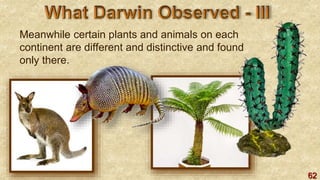 62
Meanwhile certain plants and animals on each
continent are different and distinctive and found
only there.
 