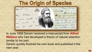 80
In June 1858 Darwin received a manuscript from Alfred
Wallace who had developed a theory of natural selection
similar to his own.
Darwin quickly finished his own book and published it the
next year.
 