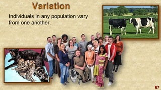 87
Individuals in any population vary
from one another.
 