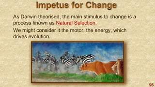 95
As Darwin theorised, the main stimulus to change is a
process known as Natural Selection.
We might consider it the motor, the energy, which
drives evolution.
 
