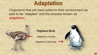 97
Organisms that are best suited to their environment as
said to be “adapted” and the process known as
adaptation.
Flightless Birds
Adapted to running
Adapted to swimming
 