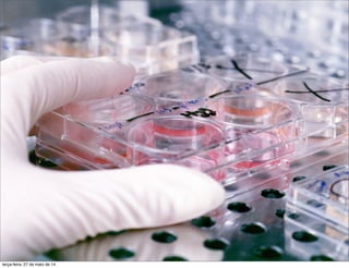 terça-feira, 27 de maio de 14
 