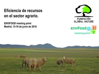 Eficiencia de recursos
en el sector agrario.
ENVIFOOD meeting point
Madrid, 15-16 de junio de 2016
 