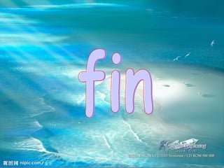 fin 