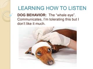 LEARNING HOW TO LISTEN
DOG BEHAVIOR: The “whale eye”.
Communicates, I’m tolerating this but I
don’t like it much.
 