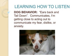 LEARNING HOW TO LISTEN
DOG BEHAVIOR: “Ears back and
Tail Down”. Communicates, I’m
getting close to acting out to
communicate my fear, dislike, or
anxiety.
 