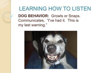 LEARNING HOW TO LISTEN
DOG BEHAVIOR: Growls or Snaps.
Communicates, “I’ve had it. This is
my last warning.”
 