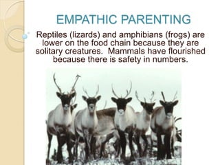 EMPATHIC PARENTING
Reptiles (lizards) and amphibians (frogs) are
lower on the food chain because they are
solitary creatures. Mammals have flourished
because there is safety in numbers.
 